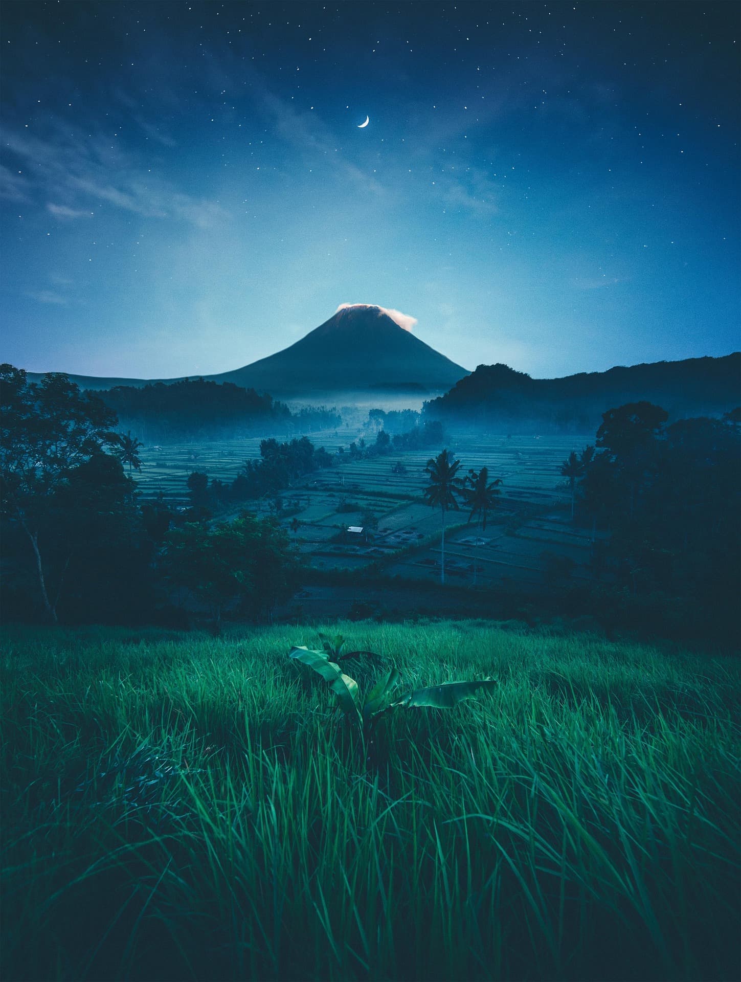 Bali retreat location - lush tropical paradise